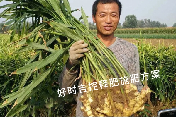 姜農(nóng)滿(mǎn)意，效果杠杠的！